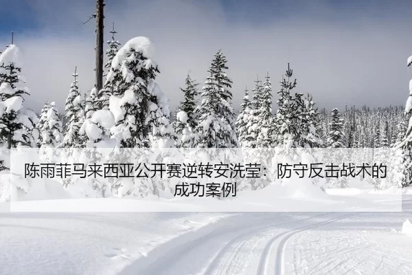 陈雨菲马来西亚公开赛逆转安洗莹：防守反击战术的成功案例