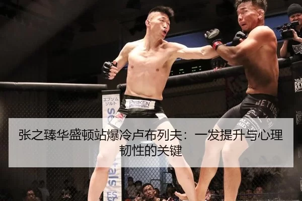 张之臻华盛顿站爆冷卢布列夫：一发提升与心理韧性的关键